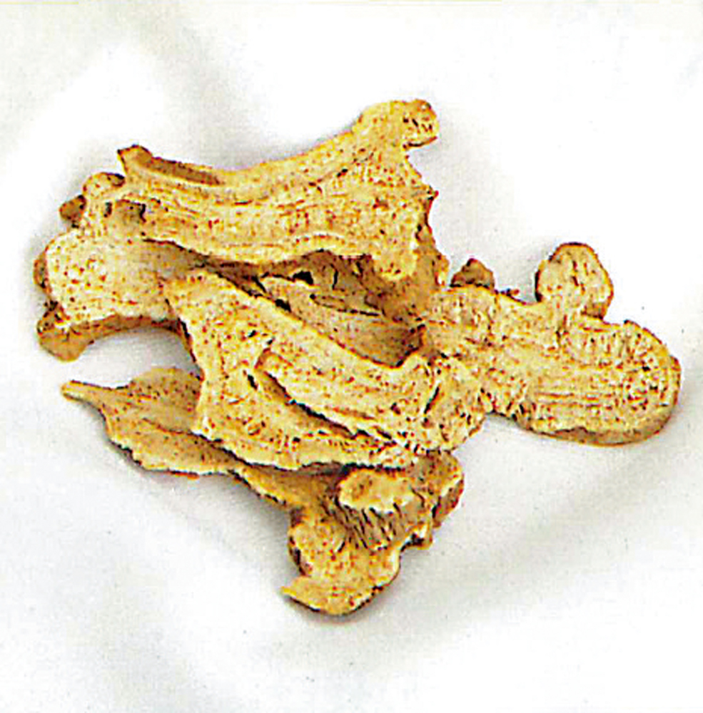 　　圖：白朮有燥濕利水功效。