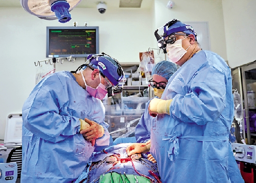 　　圖：7月6日，蘭貢醫療中心專家進行豬心移植手術。\美聯社