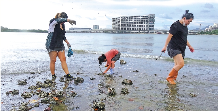 　　圖：有家長帶着小朋友，在沒有防護裝備下，冒險在海灘捉蟹打蠔。