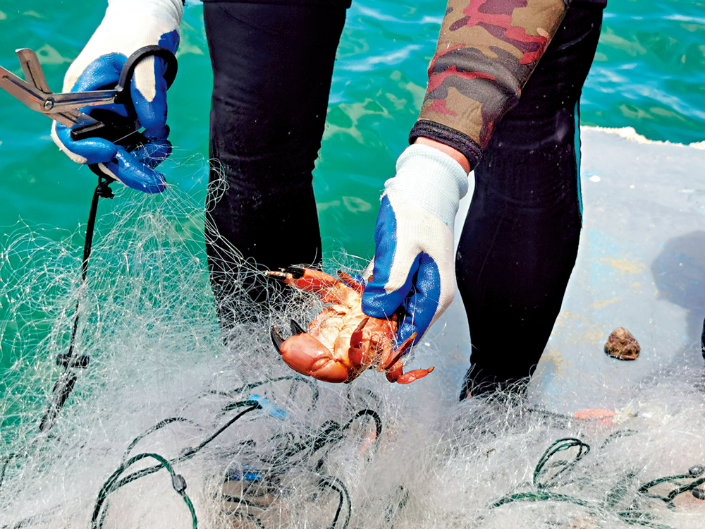 　　圖：「鬼網」會纏繞海洋生物和珊瑚，損害生態。