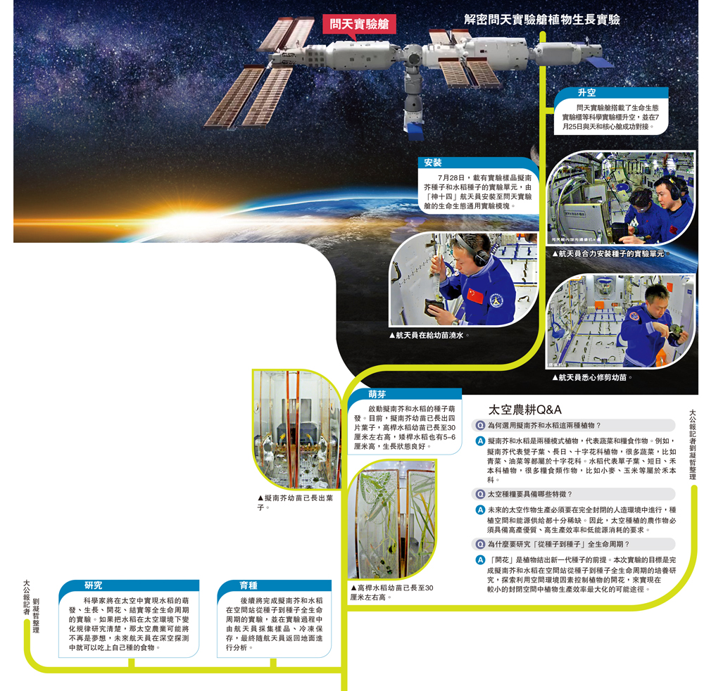 　　圖：解密問天實驗艙植物生長實驗