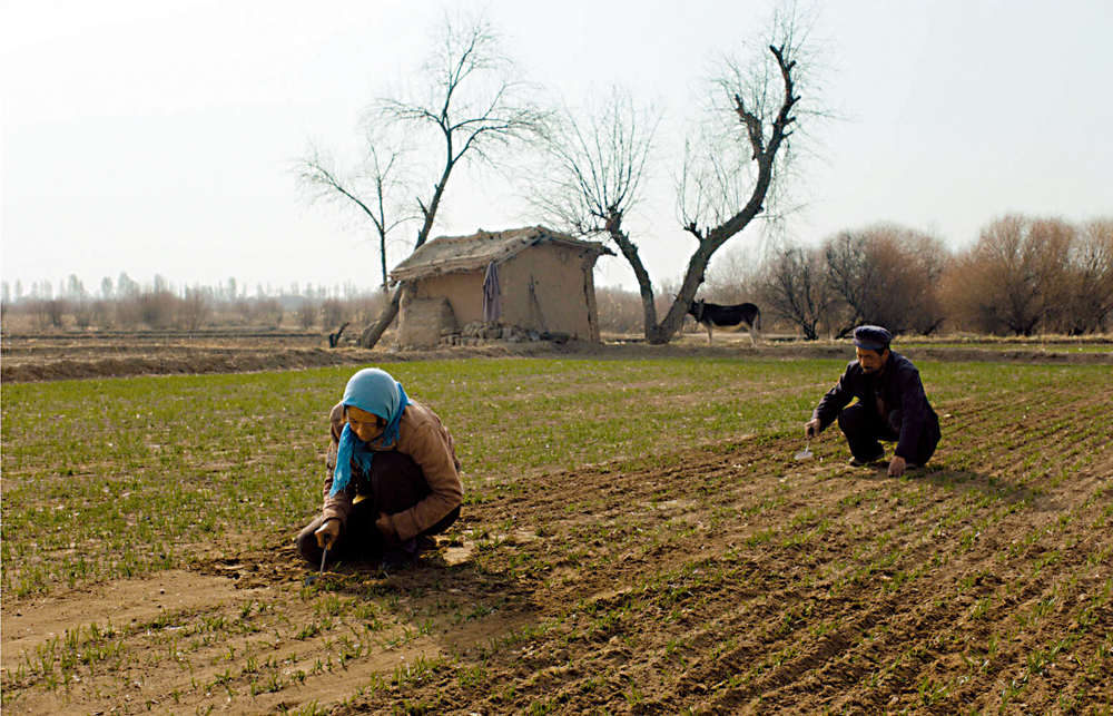 　　圖：《隱入塵煙》還原真實農村場景。