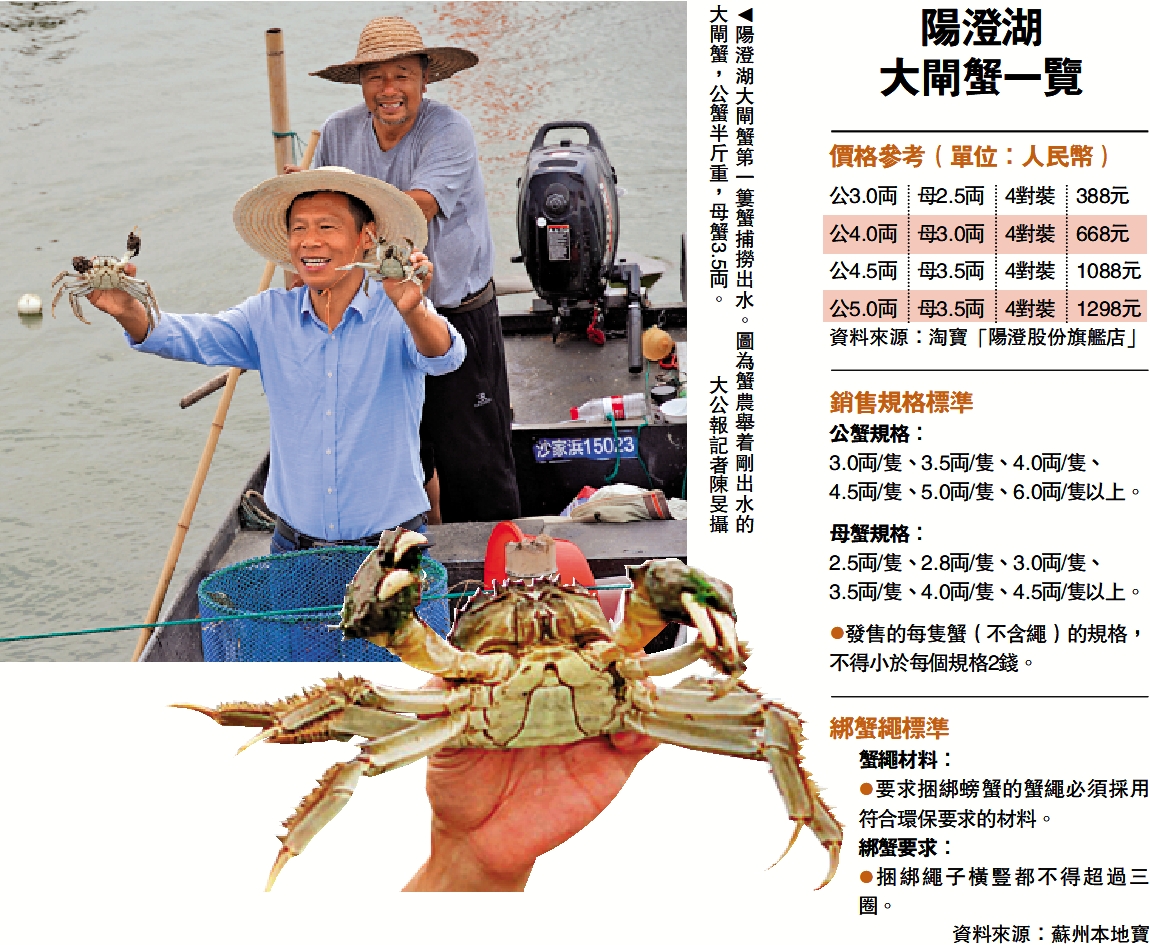 　　圖：陽澄湖大閘蟹第一簍蟹捕撈出水。圖為蟹農舉着剛出水的大閘蟹，公蟹半斤重，母蟹3.5両。\大公報記者陳旻攝