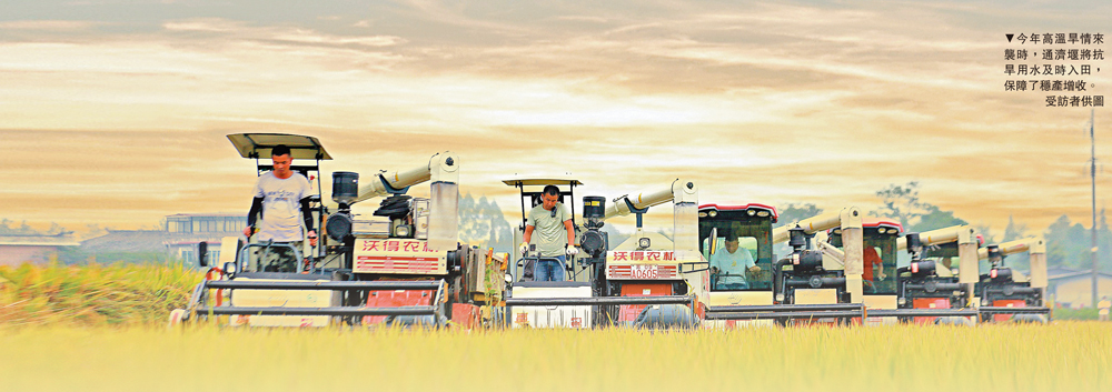 　　圖：今年高溫旱情來襲時，通濟堰將抗旱用水及時入田，保障了穩產增收。/受訪者供圖