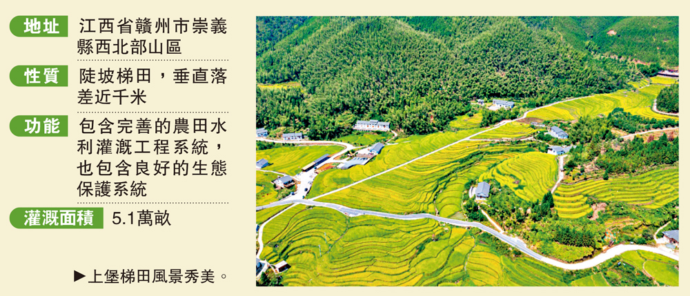 　　圖：上堡梯田風景秀美。