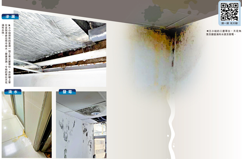 　　圖：王小姐的工廈單位，天花角落及牆壁滿布水漬及發霉。
