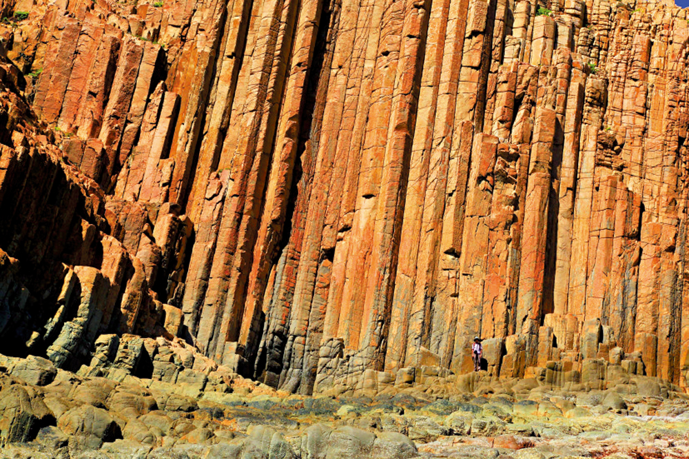 　　圖：糧船灣的早白堊世流紋質岩柱群。