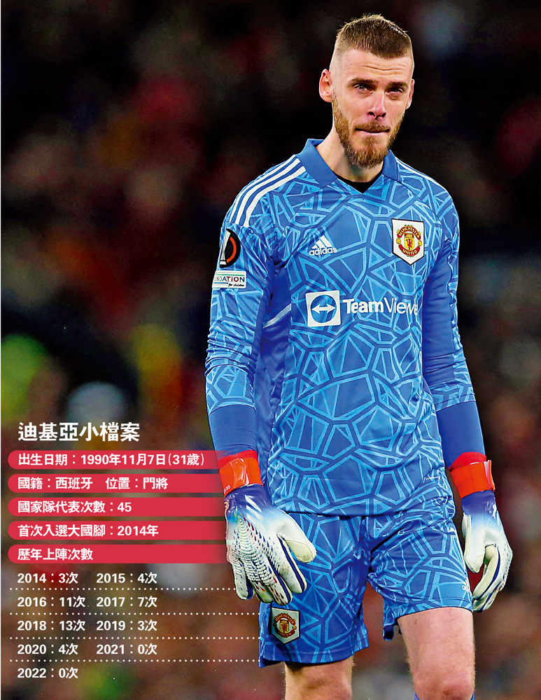 　　圖：迪基亞小檔案