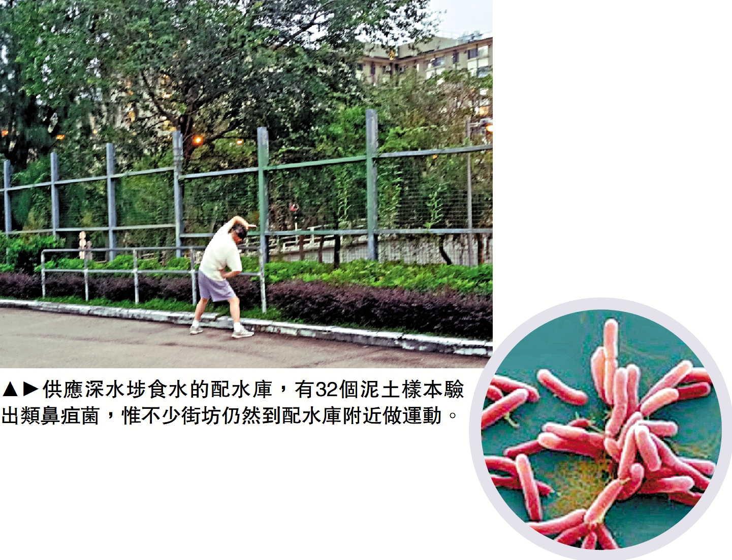 　　圖：供應深水埗食水的配水庫，有32個泥土樣本驗出類鼻疽菌，惟不少街坊仍然到配水庫附近做運動。