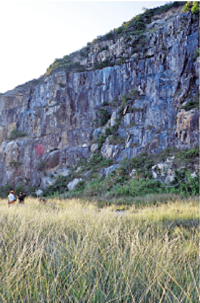 　　圖：廢舊的石礦場前，蘆葦在秋風中飄揚。