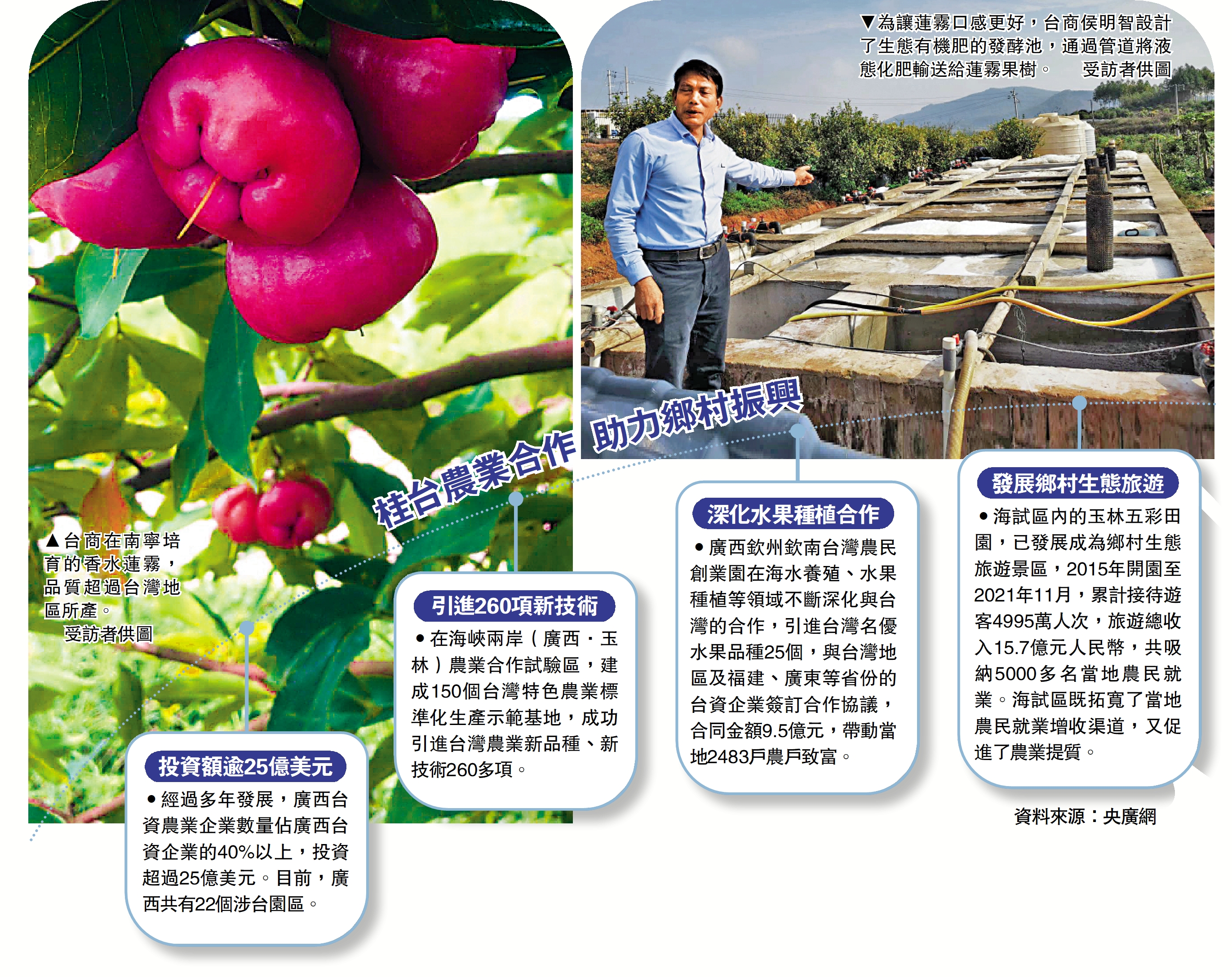 　　圖：（右）為讓蓮霧口感更好，台商侯明智設計了生態有機肥的發酵池，通過管道將液態化肥輸送給蓮霧果樹。\受訪者供圖