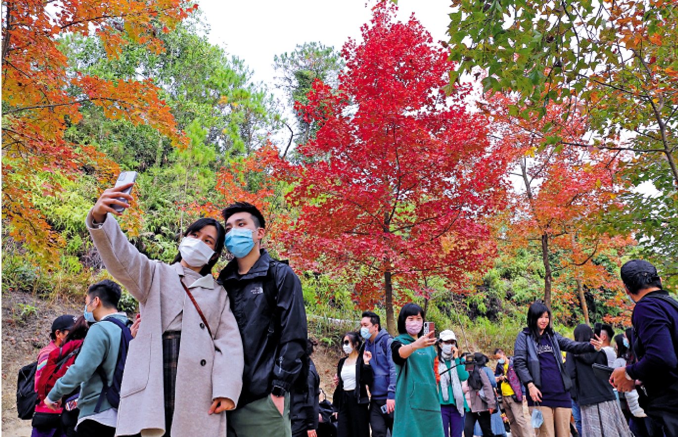 　　圖：元朗大棠楓香林去年吸引不少市民到來賞紅葉。