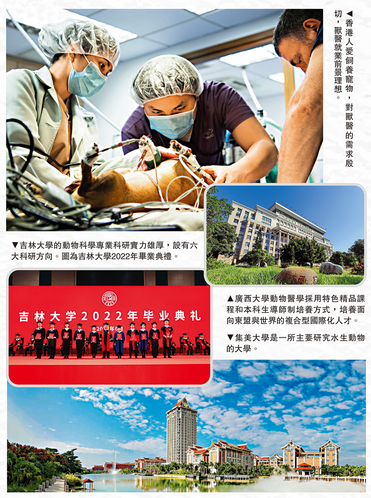 　　圖：香港人愛飼養寵物，對獸醫的需求殷切，獸醫就業前景理想。