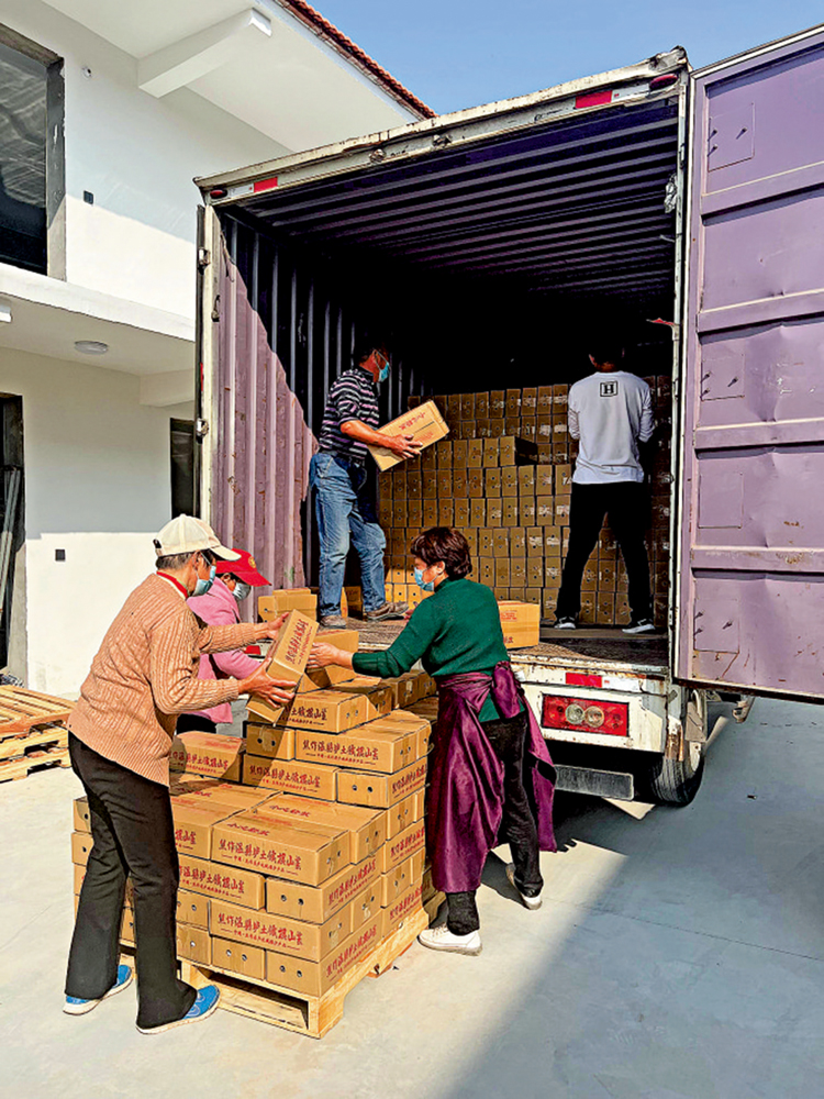 　　圖：工人把打包好的山藥裝車。\受訪者供圖