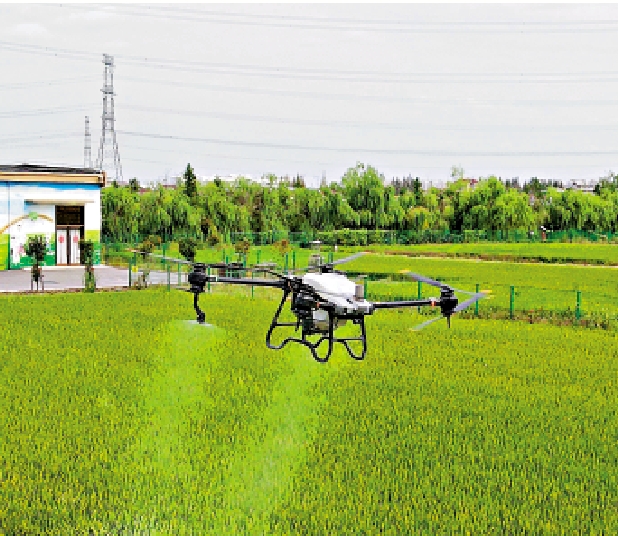 　　圖：9月21日，一架植保無人機在上海嘉定區的數字化無人農場噴灑農藥。\新華社