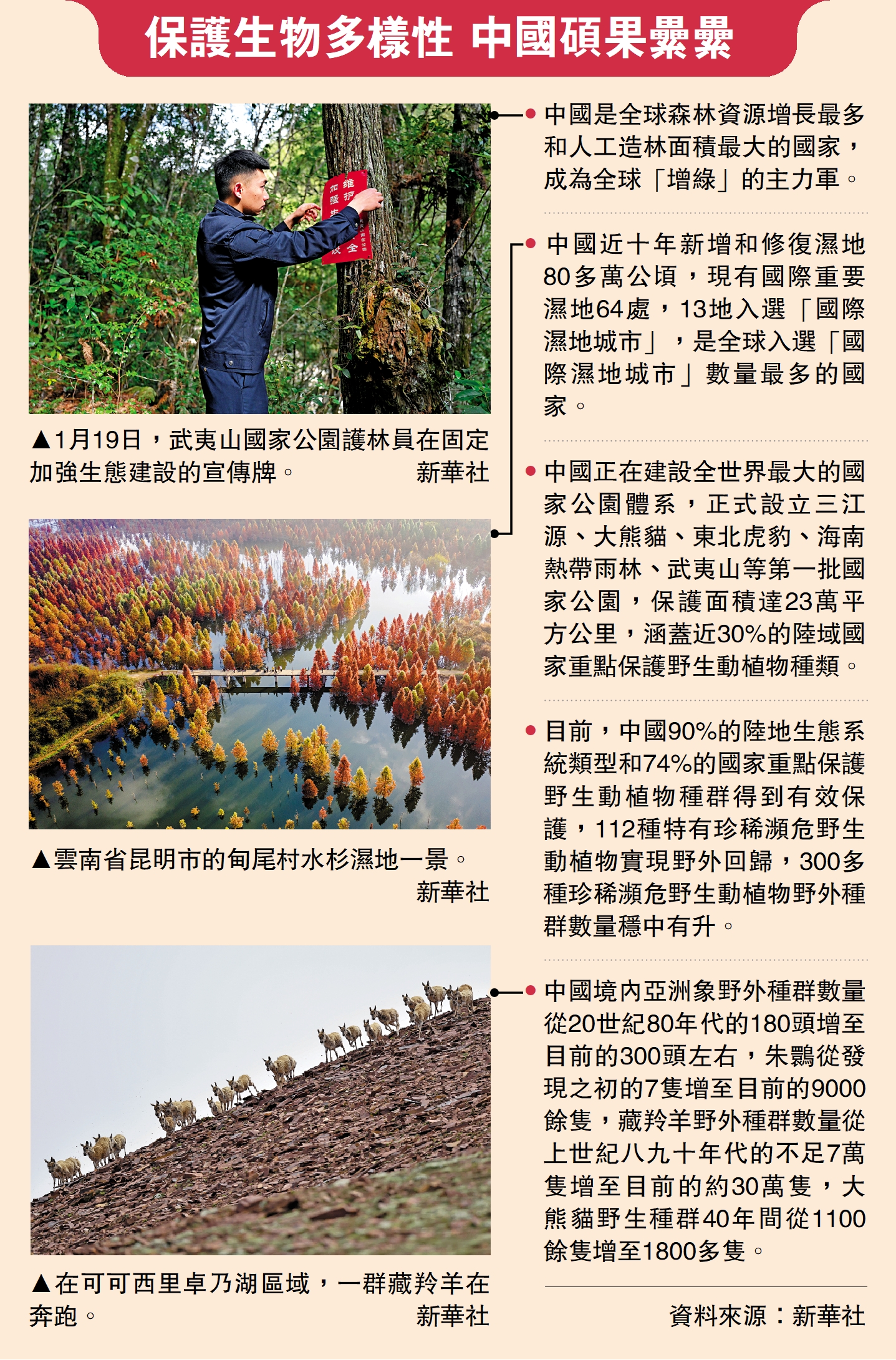 　　圖：保護生物多樣性 中國碩果纍纍