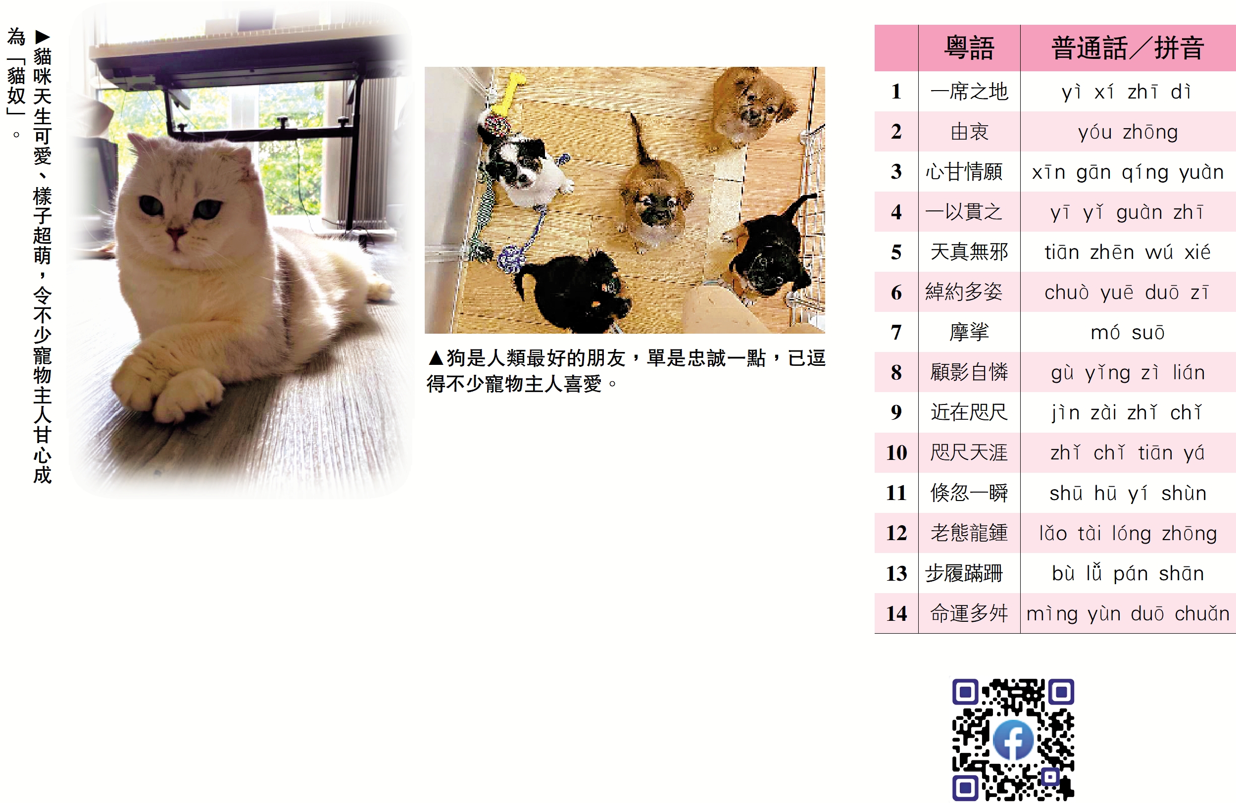 　　左圖：貓咪天生可愛、樣子超萌，令不少寵物主人甘心成為「貓奴」。上圖：狗是人類最好的朋友，單是忠誠一點，已逗得不少寵物主人喜愛。