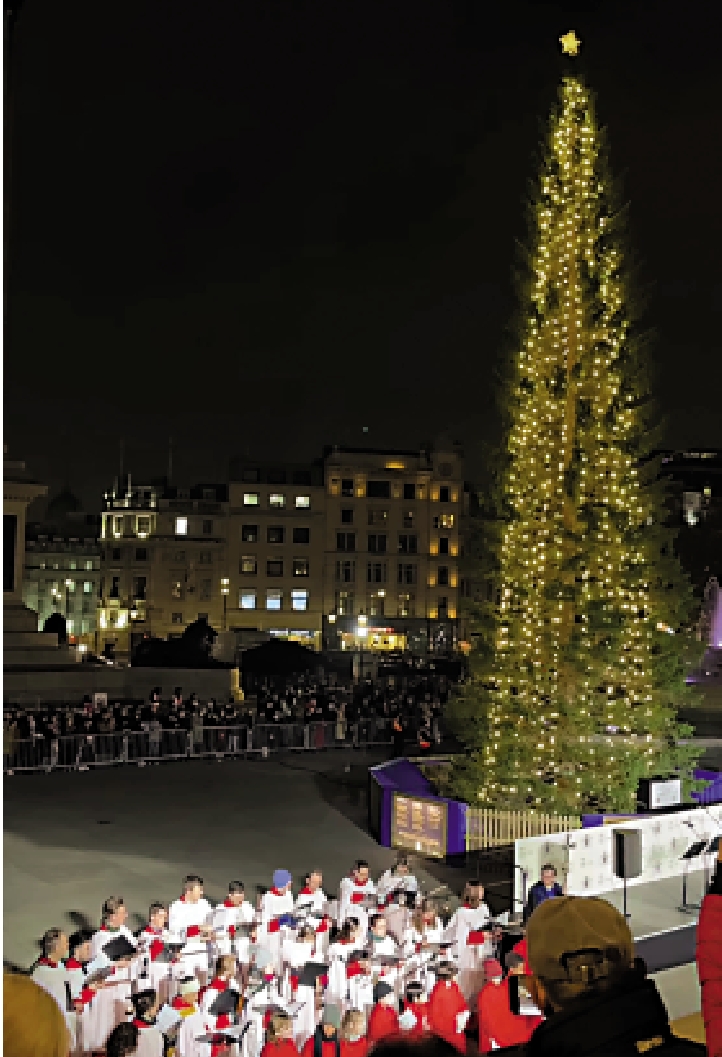 　　圖：特拉法加廣場的聖誕樹亮燈。\資料圖片