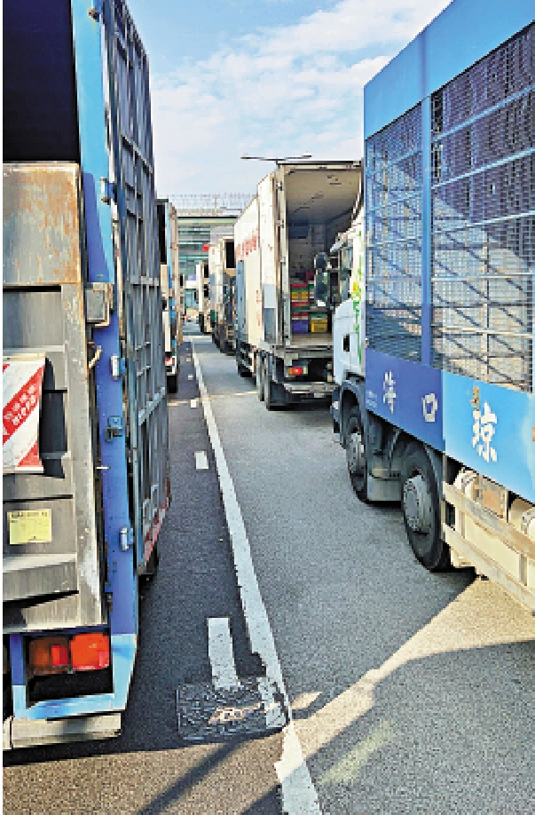 　　圖：「點對點」運輸恢復後大量貨車北上拉貨，往返深港的路上車流密集。\大公報記者李昌鴻攝
