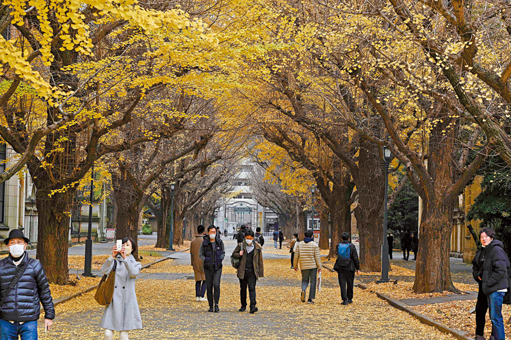 　　圖：日本年輕人在疫情期間難找工作，「啃老族」人數增加。\法新社