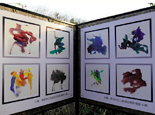 　　圖：紅山動物園紅猩猩「小黑」的畫作。\大公報記者賀鵬飛攝