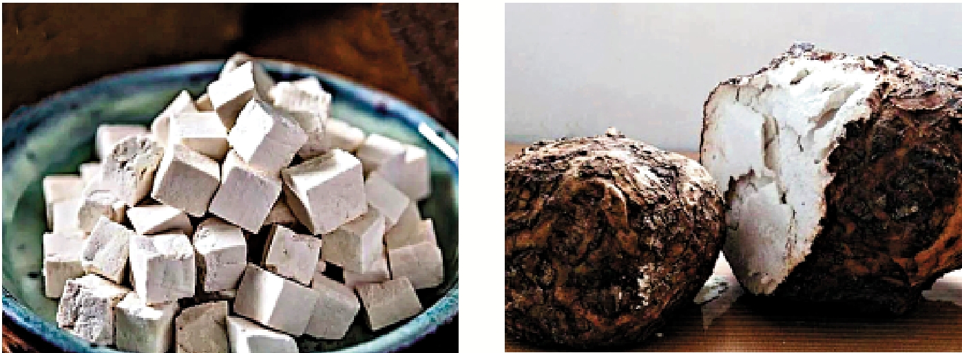 　　左圖：茯苓粒。