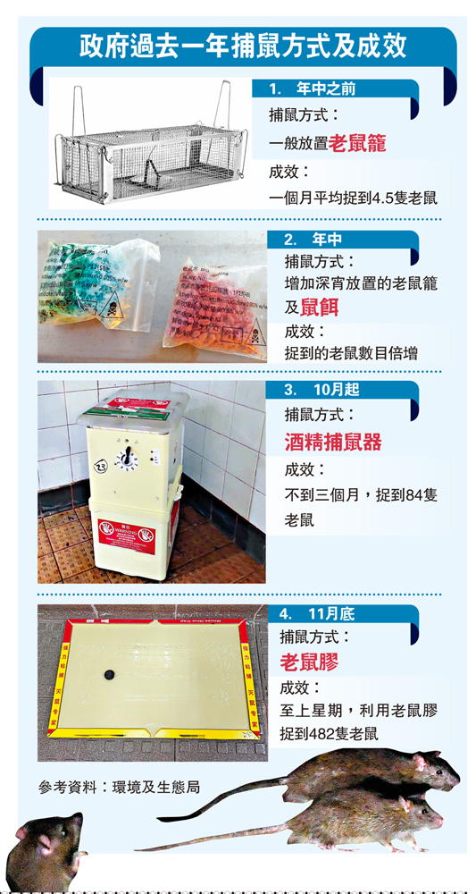 　　圖：政府過去一年捕鼠方式及成效