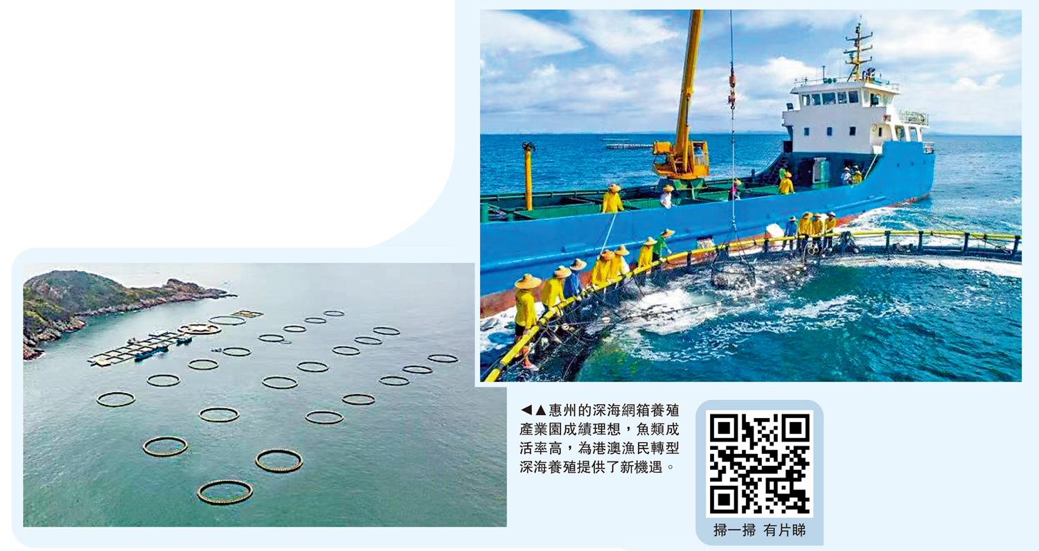 圖:惠州的深海網箱養殖產業園成績理想,魚類成活率高,為港澳漁民轉型深海養殖提供了新機遇。