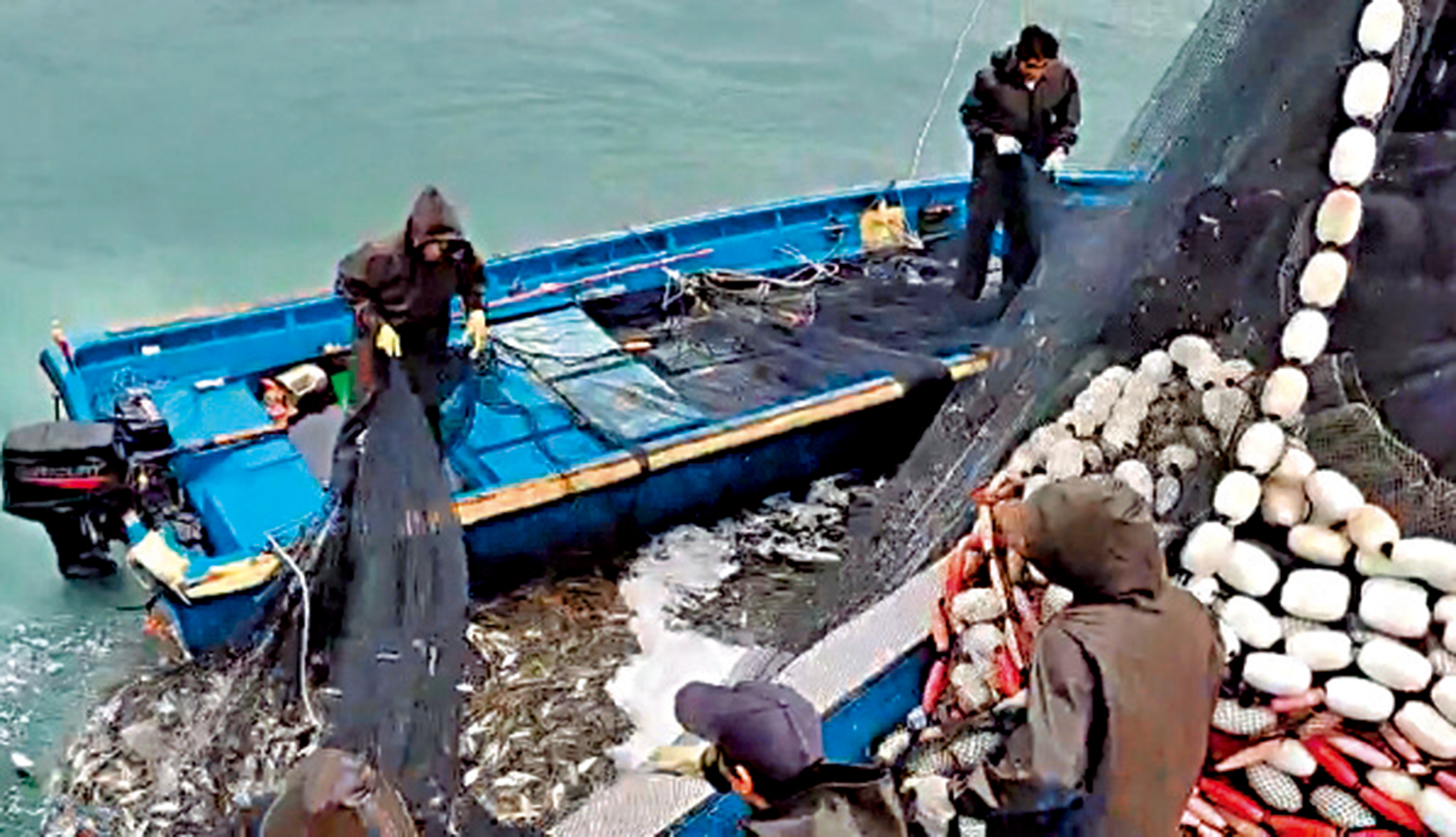 　　圖：本港漁民在本港水域進行傳統捕撈作業。