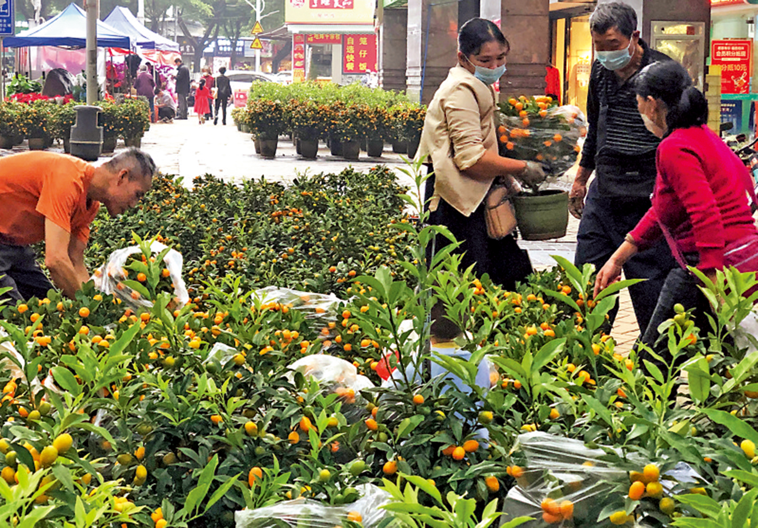 　　圖：廣州市民在春節前「行花街」買靚花過年。\大公報記者方俊明攝