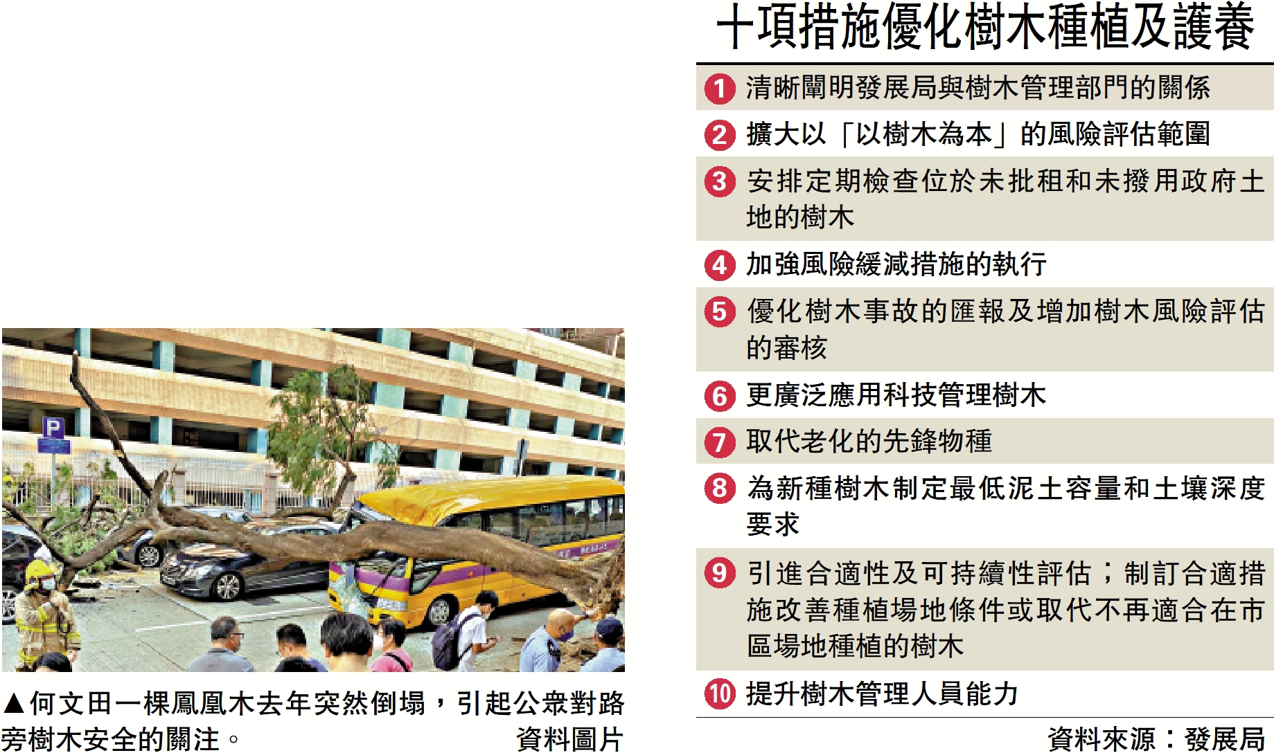 　　圖：何文田一棵鳳凰木去年突然倒塌，引起公眾對路旁樹木安全的關注。\資料圖片