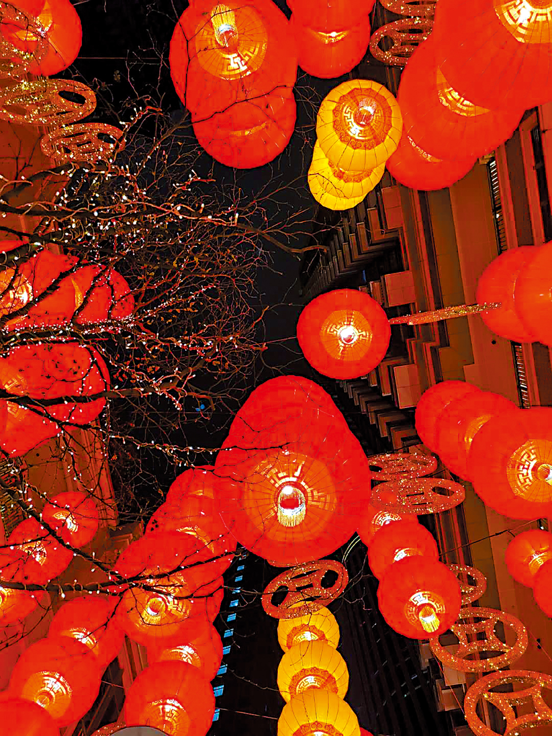 　　圖：利東街大紅燈籠高高掛。\作者供圖