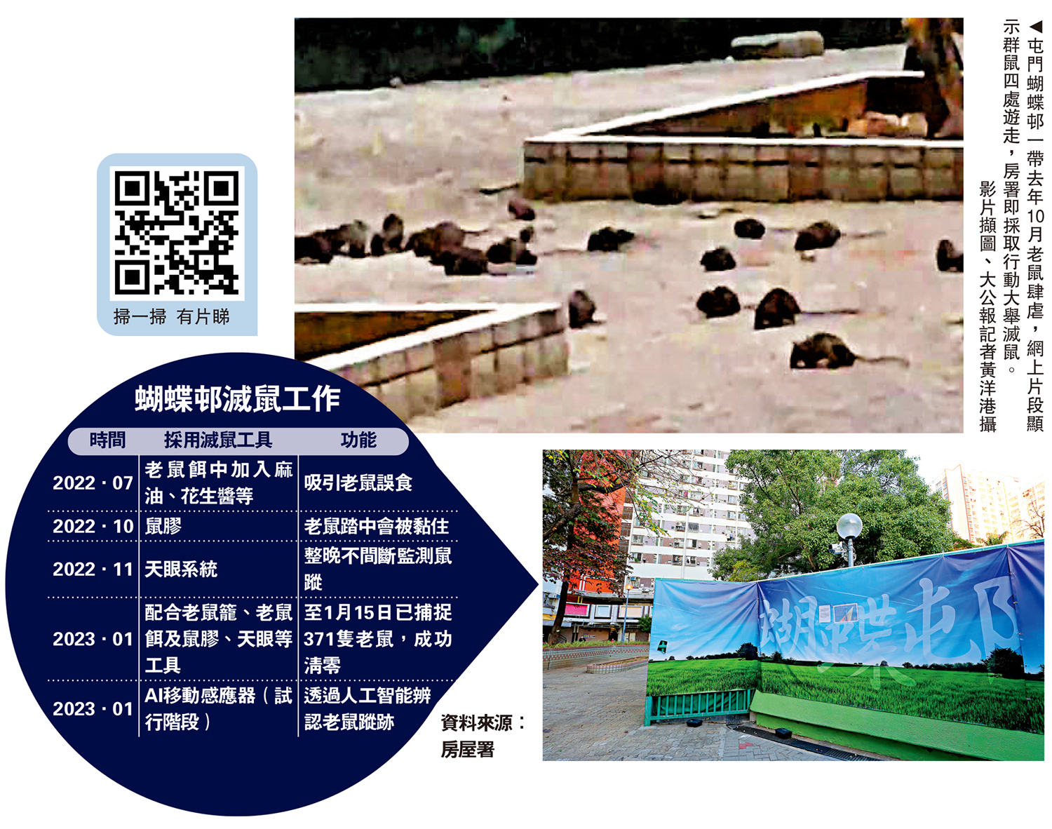 　　圖：屯門蝴蝶邨一帶去年10月老鼠肆虐，網上片段顯示群鼠四處遊走，房署即採取行動大舉滅鼠。\影片擷圖、大公報記者黃洋港攝