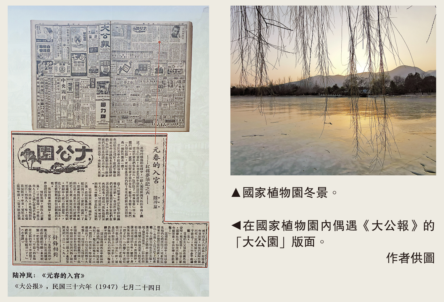 　　左圖：在國家植物園內偶遇《大公報》的「大公園」版面。/作者供圖；右圖：國家植物園冬景。