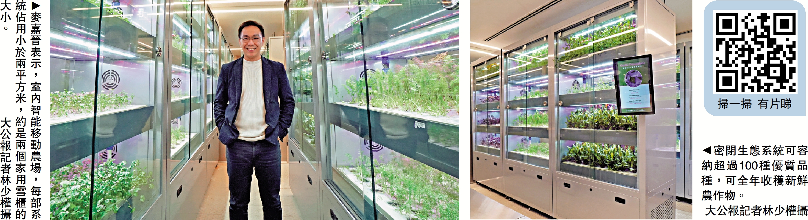 　　左圖：麥嘉晉表示，室內智能移動農場，每部系統佔用小於兩平方米，約是兩個家用雪櫃的大小。右圖：密閉生態系統可容納超過100種優質品種，可全年收穫新鮮農作物。\大公報記者林少權攝