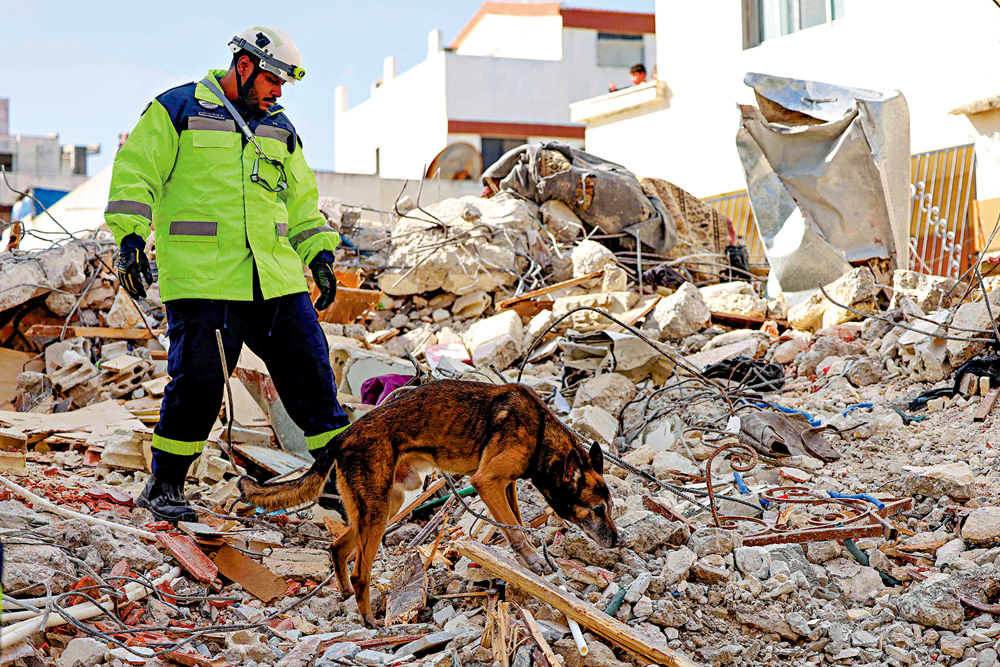 　　圖：救援人員11日帶領搜救犬在敘利亞災區尋找被困者。\法新社