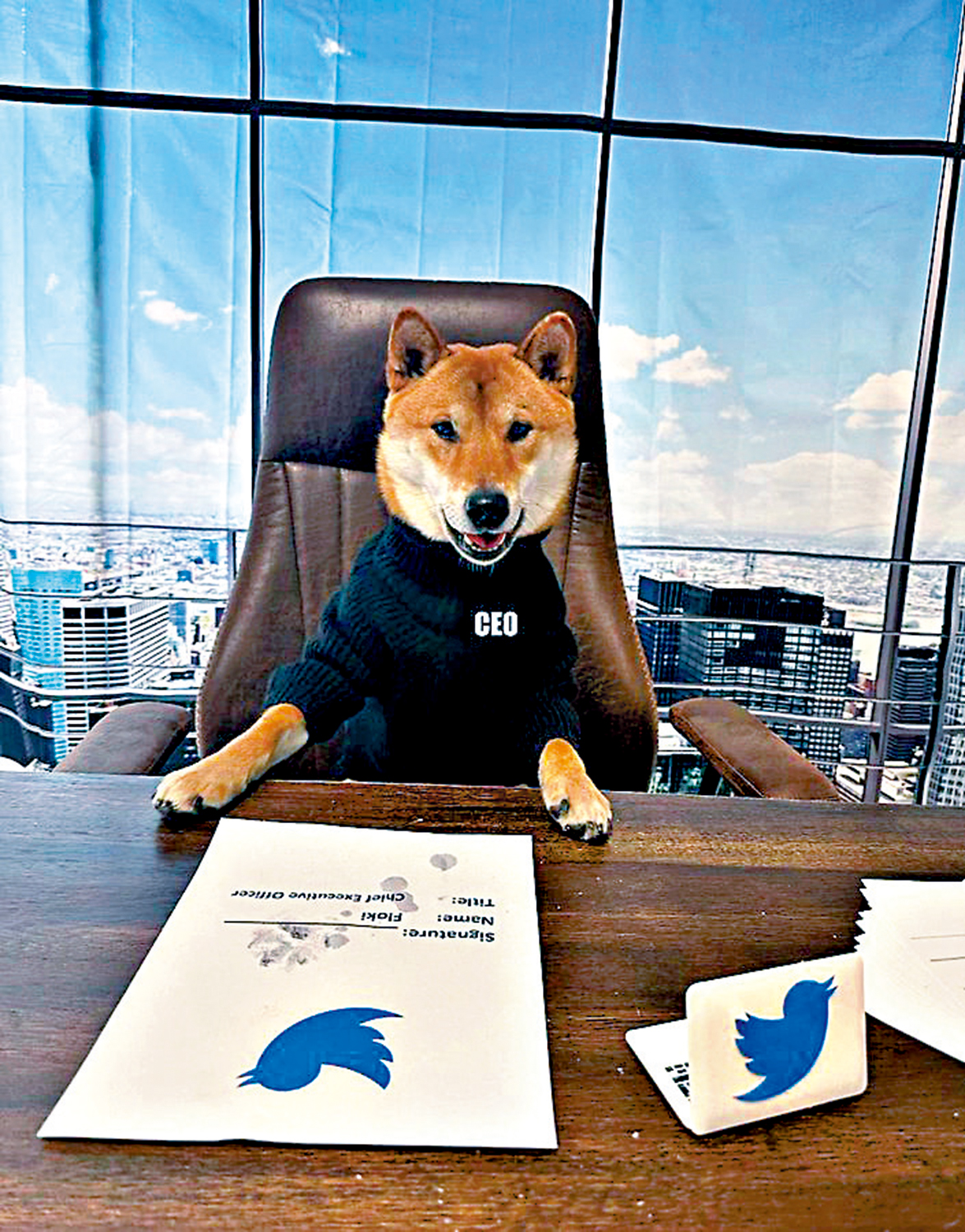 　　圖：馬斯克發布愛犬照片，戲言狗狗更適合當Twitter的CEO。\網絡圖片