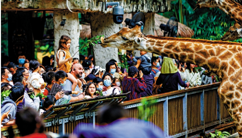 　　圖：遊客在廣州長隆野生動物世界與動物互動。 