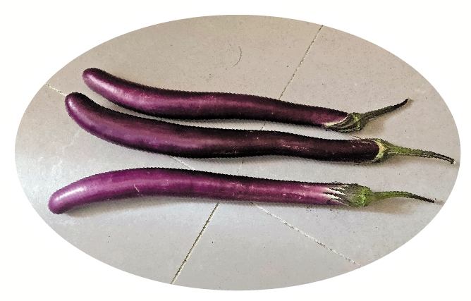 　　圖：茄子含「植物性雌激素」。