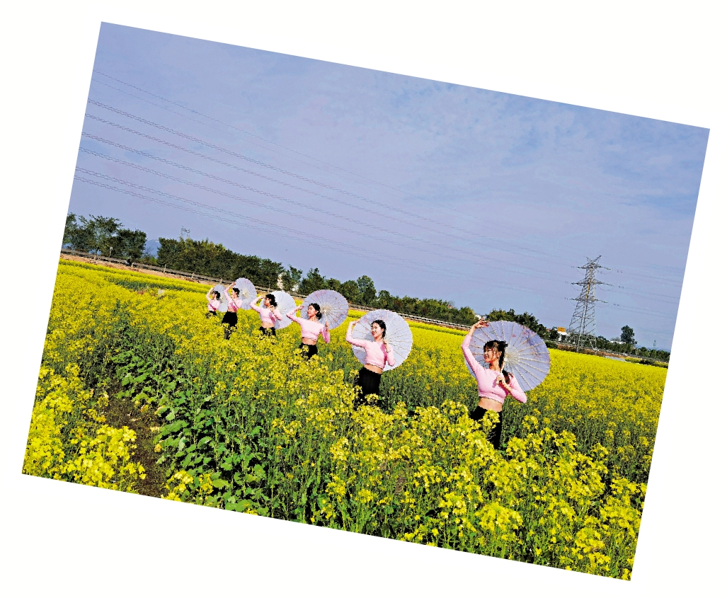 　　圖：西牛鎮油菜花田內遊客開心踏春。\大公報記者王逍攝