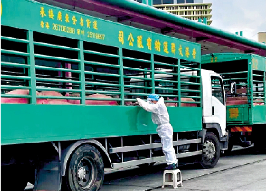 　　圖：五豐行在本港疫情期間，確保肉類供應穩定。