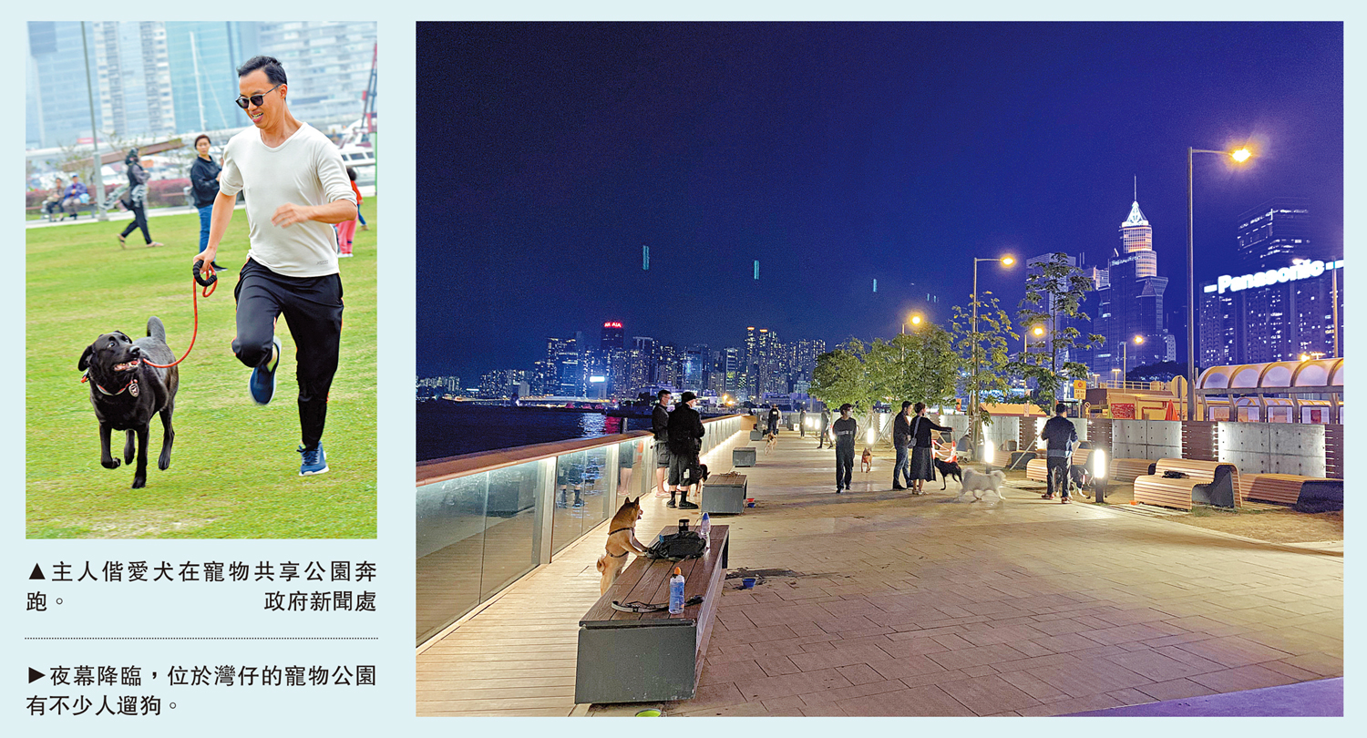 　　左圖：主人偕愛犬在寵物共享公園奔跑。\政府新聞處；右圖：夜幕降臨，位於灣仔的寵物公園有不少人遛狗。