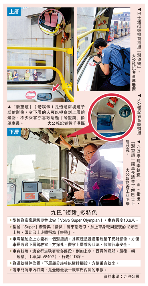 　　圖：九巴「短豬」多特色