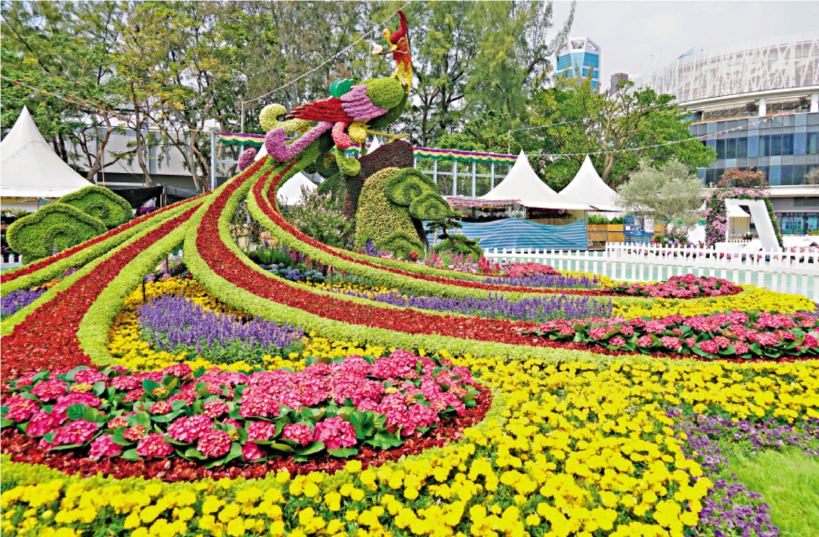 　　圖：闊別三年，實體香港花卉展覽今日起在維園開鑼，展出不同的主題園景。\大公報記者林良堅攝