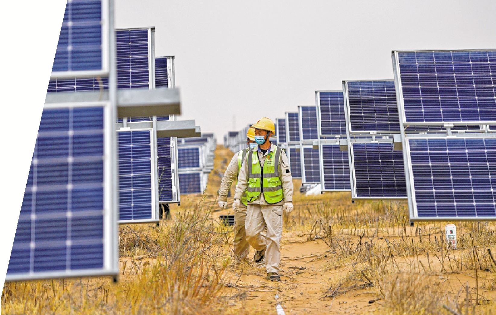　　圖：工作人員在採用「林光互補」模式的達拉特光伏發電應用領跑基地巡檢。\新華社