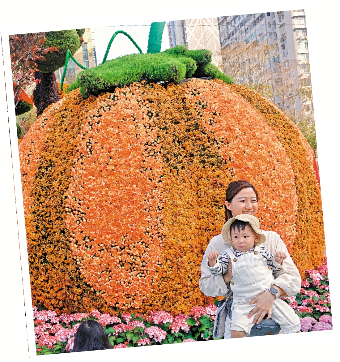 　　圖：大人抱着小朋友在由鮮花鑲嵌的大南瓜前留影。\大公報記者蔡文豪攝