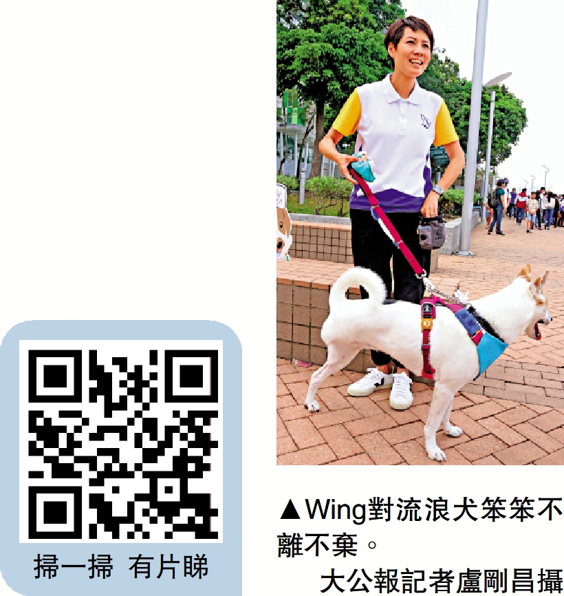 　　圖：Wing對流浪犬笨笨不離不棄。\大公報記者盧剛昌攝