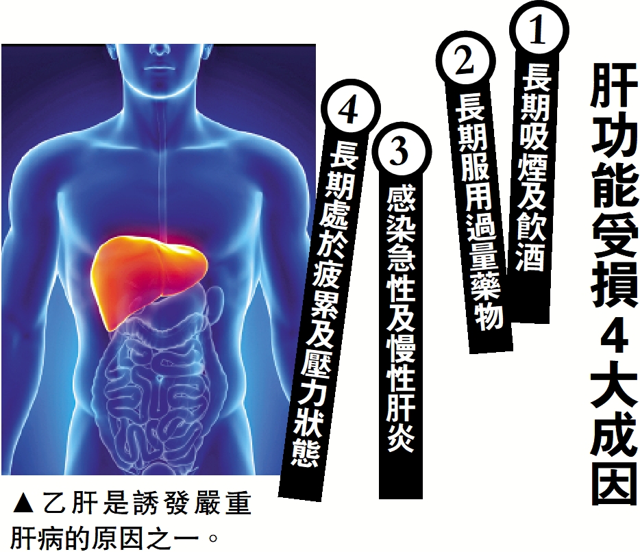 　　圖：乙肝是誘發嚴重肝病的原因之一。