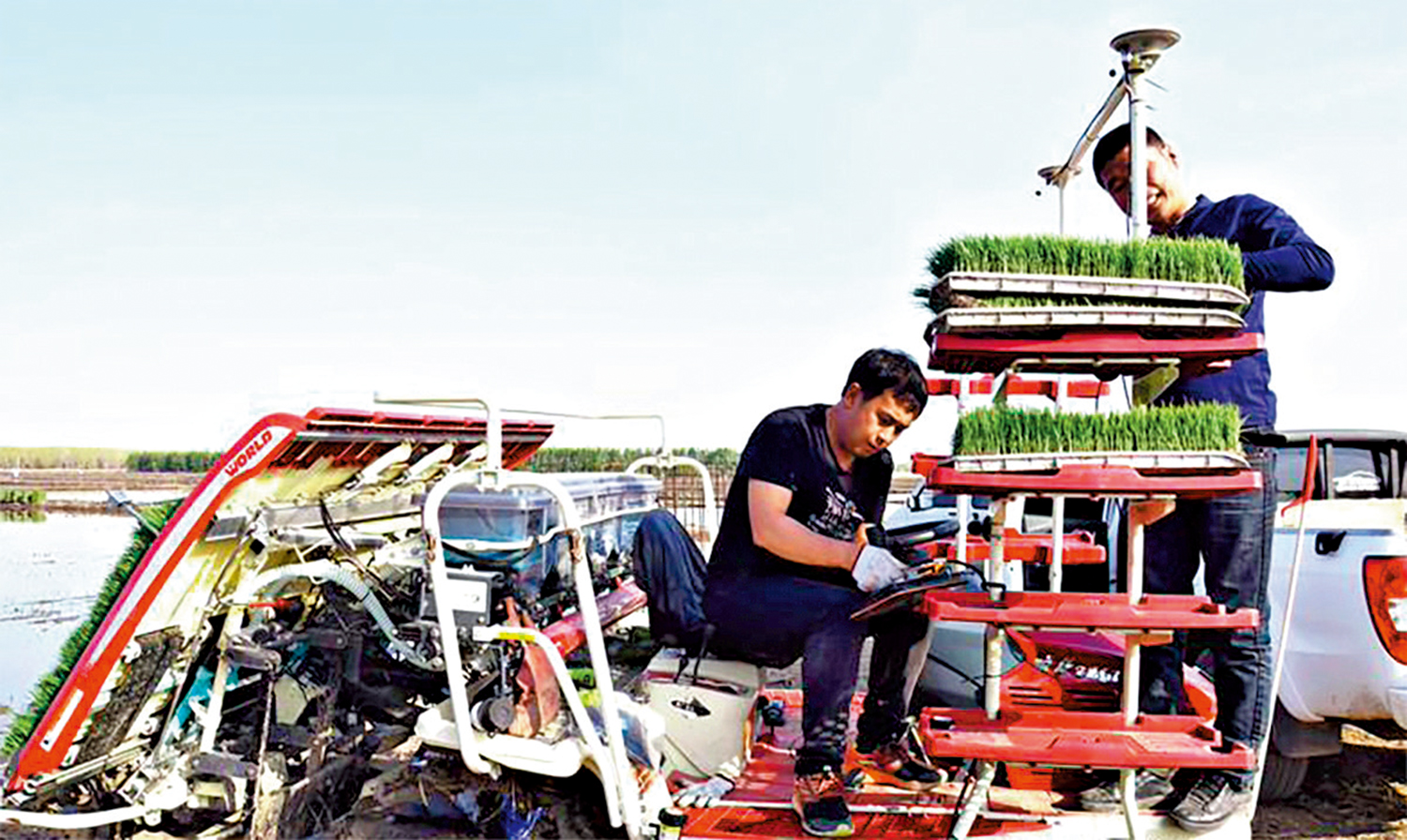 　　圖：通過北斗導航的智能插秧機。\大公報記者于海江攝