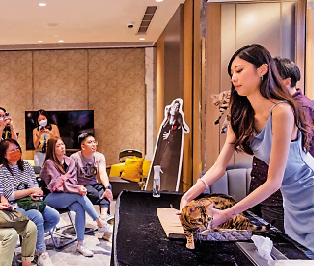 　　圖：專家與住戶及愛貓之人進行交流及分享貓貓健康育成貼士。